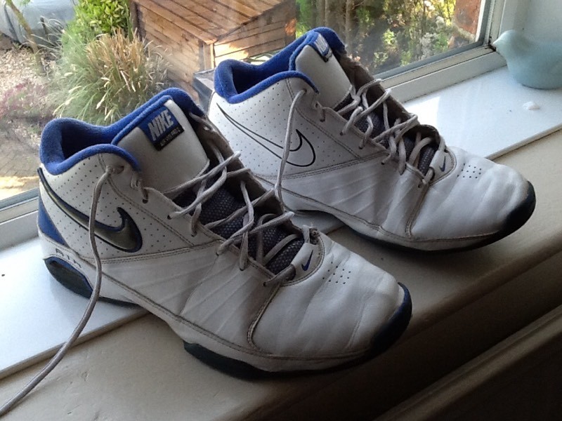 nike air visi pro 2